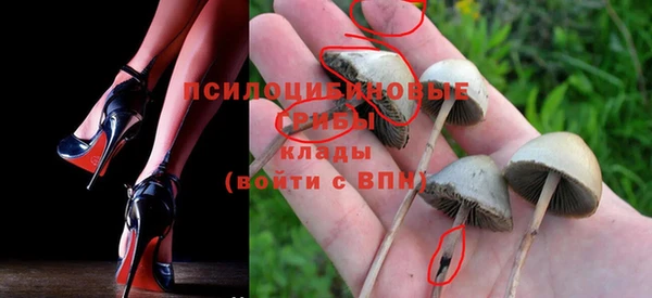 прущие грибы Баксан