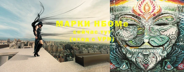 прущие грибы Баксан