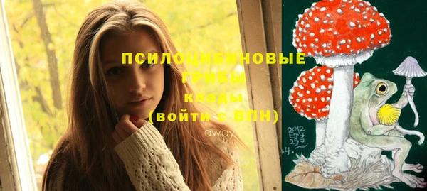 винт Балахна