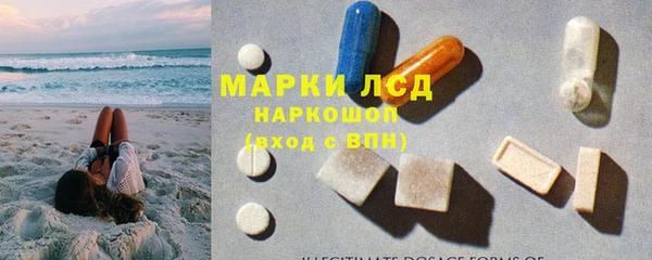 прущие грибы Баксан