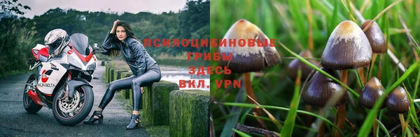 спайс Вяземский