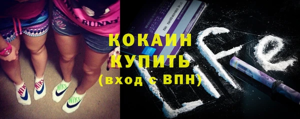 прущие грибы Баксан