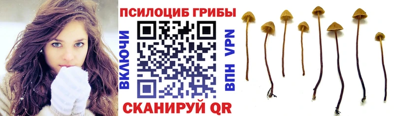 купить наркотики цена  Обь  Псилоцибиновые грибы MAGIC MUSHROOMS 